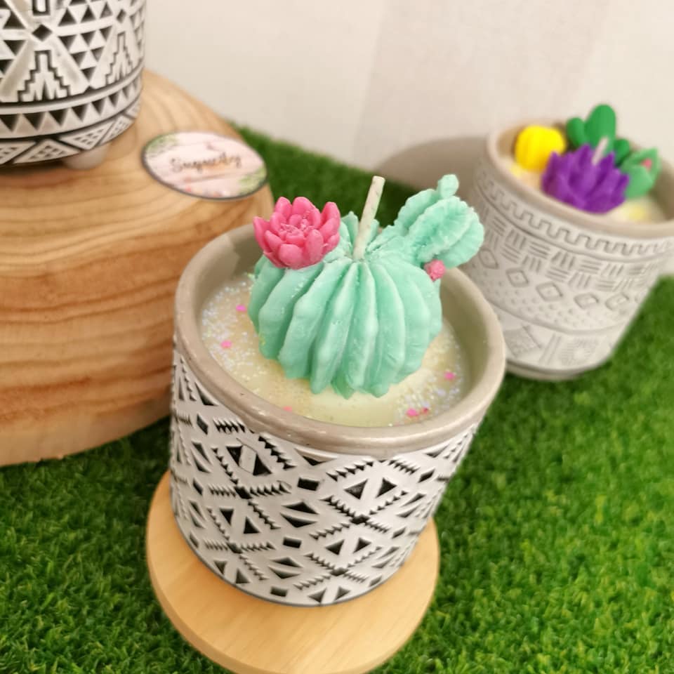 Bougie Eva - Cactus Mignon en Pot de Fleur