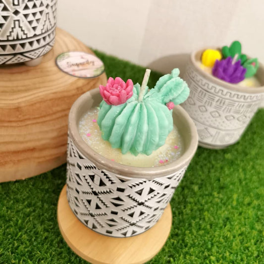 Bougie Eva - Cactus Mignon en Pot de Fleur